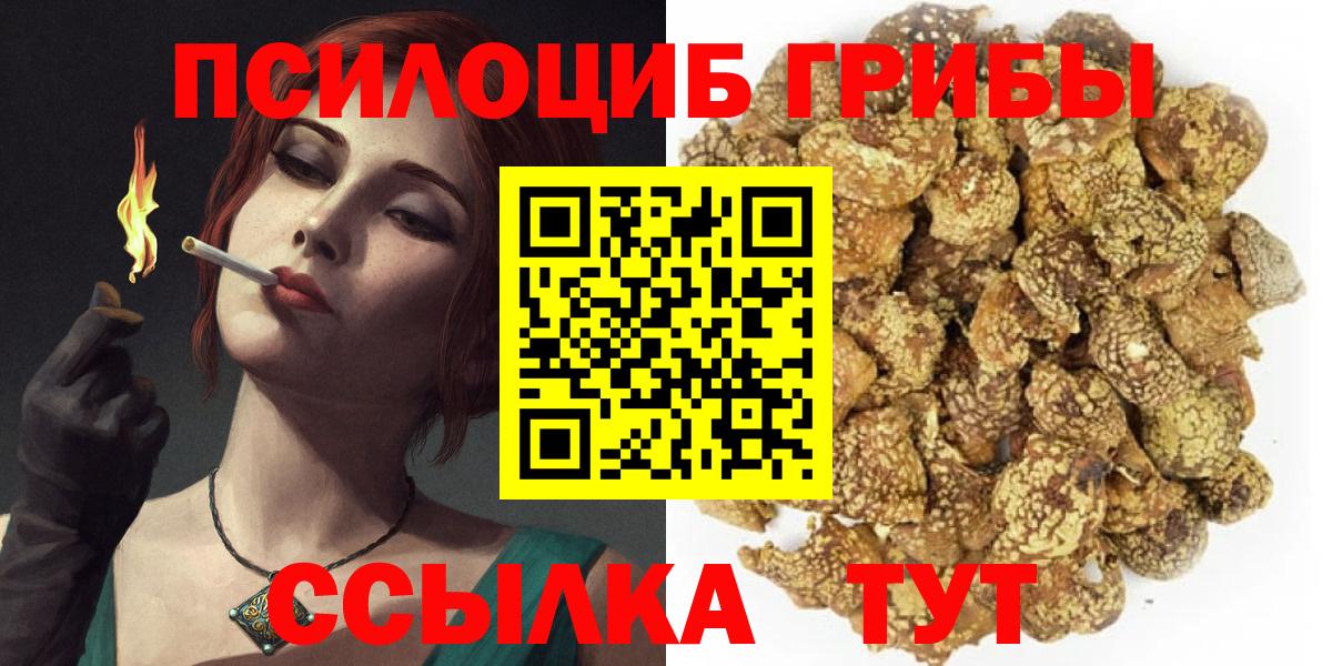 Псилоцибиновые грибы Magic Shrooms  Псилоцибиновые грибы MAGIC MUSHROOMS  Брянск  Вход с VPN 